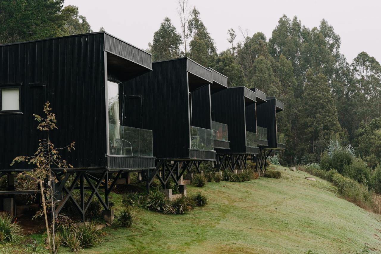 Pura Lodge Concepción Exterior foto